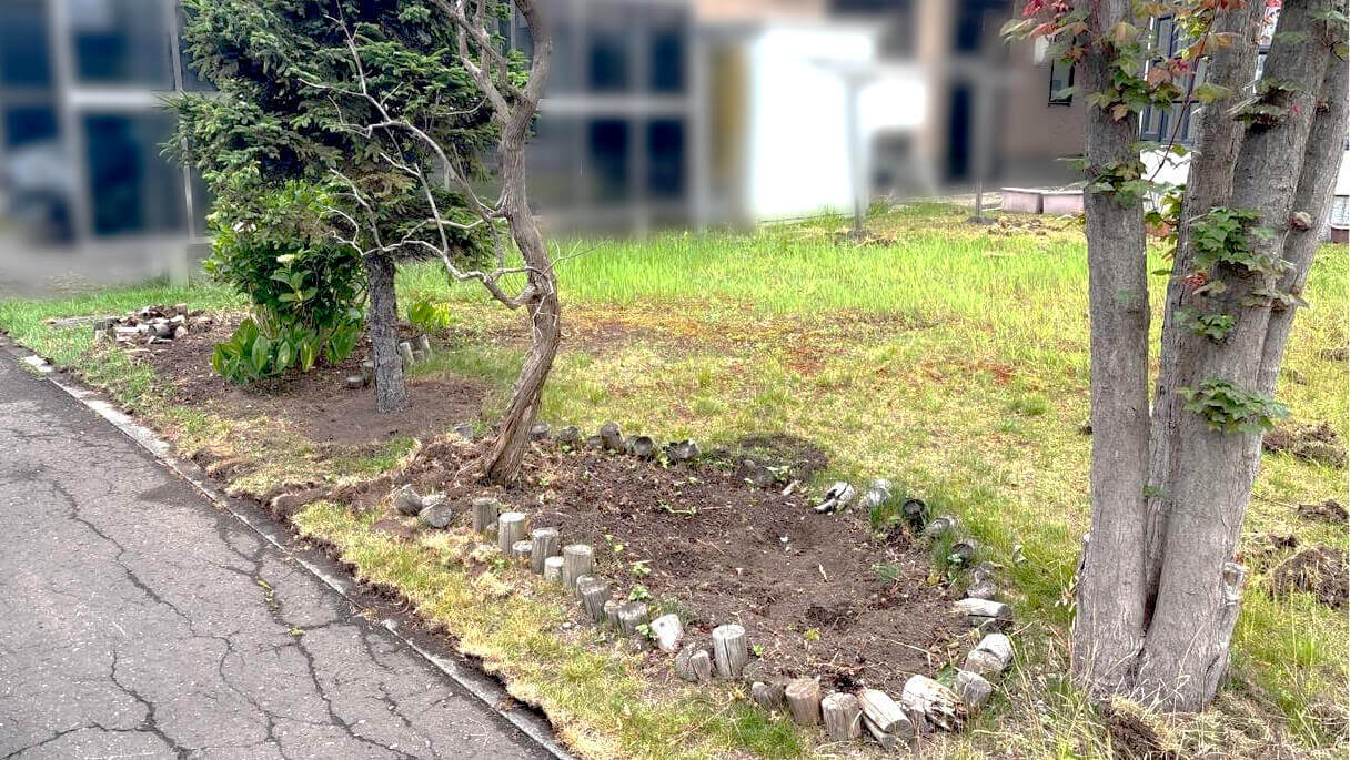 施工前：天然芝のお手入れも大変な状態